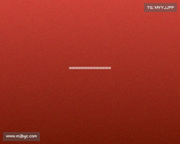 全面掌握赛车赛事运作核心要素包括组织协调风险管理执行细节